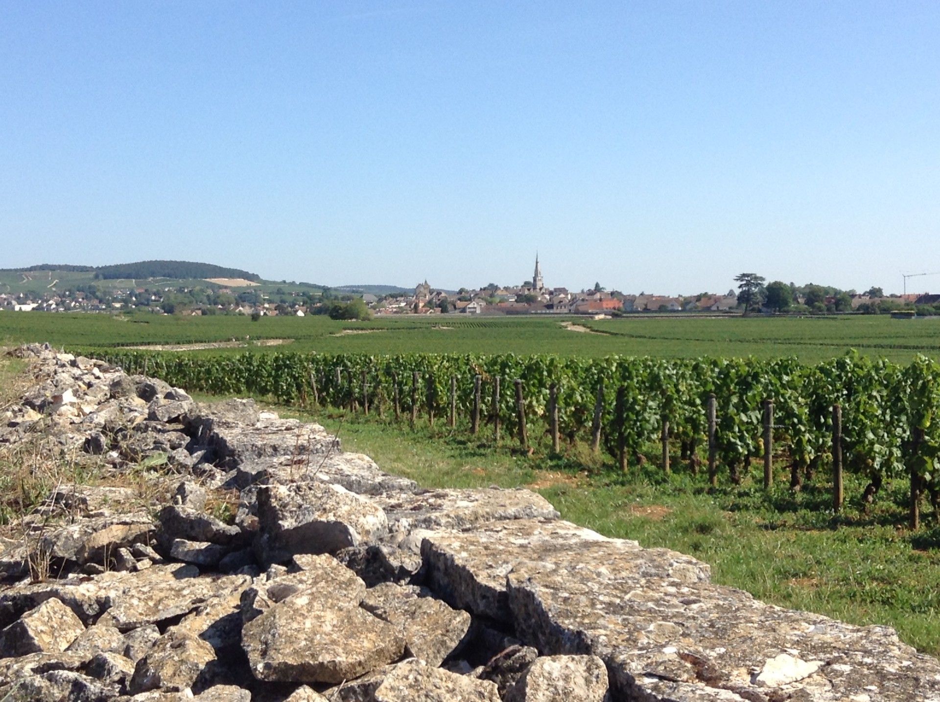 Domaine Sylvain Dussort