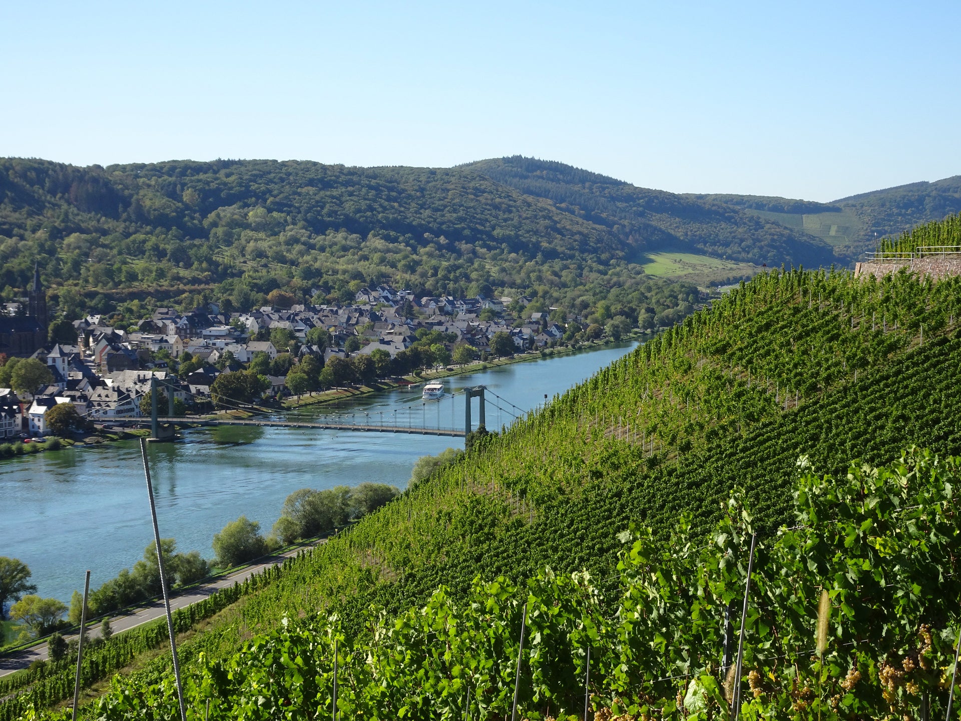 Mosel