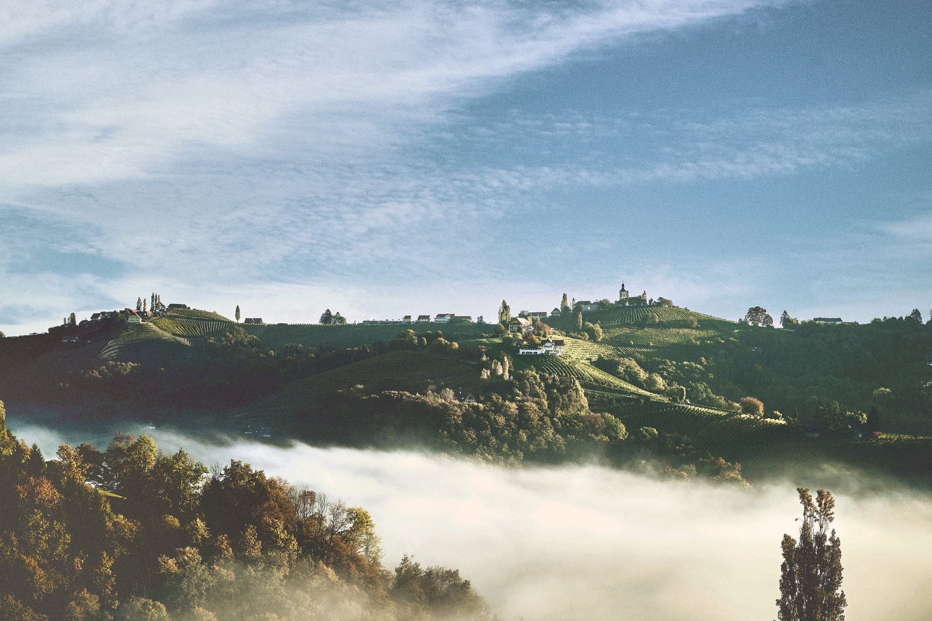 Weingut Gerhard Wohlmuth