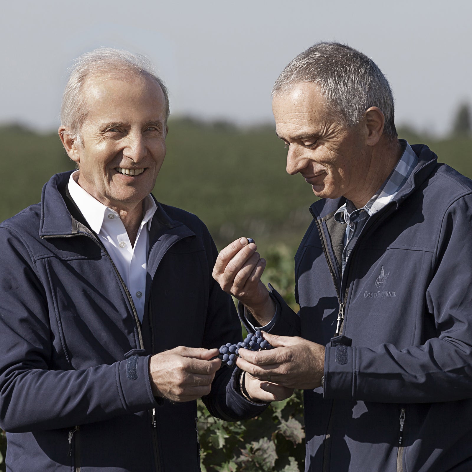 Chateau Cos d'Estournel