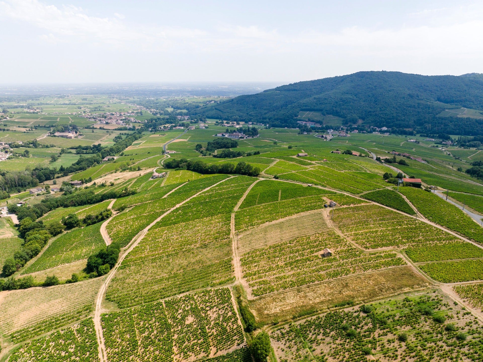 Domaine de Boischampt