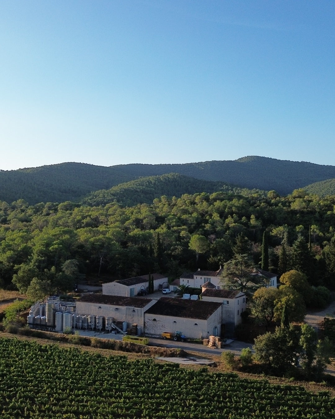 Domaine de RimauresQ