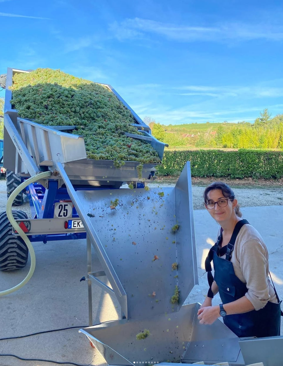 Domaine Des Chasseignes