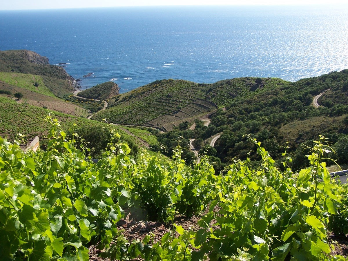 Domaine Vial Magneres