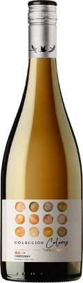 2024 Coleccion Colours Chardonnay