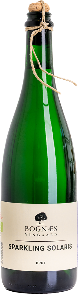 Sparkling Solaris 2024