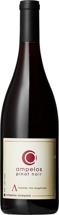 2021 Pinot Noir Lambda