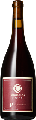 2020 Pinot Noir Rho