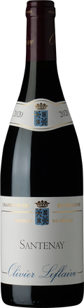 2022 Santenay Rouge