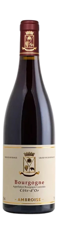 2023 Bourgogne Rouge Côte d'Or MG