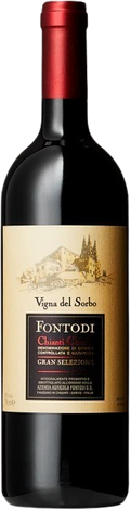 2019 Chianti Classico Gran Selezione Vigna del Sorbo MG