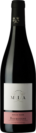 2022 Bourgogne Pinot Noir