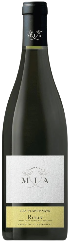 Rully Blanc Les Plantenays