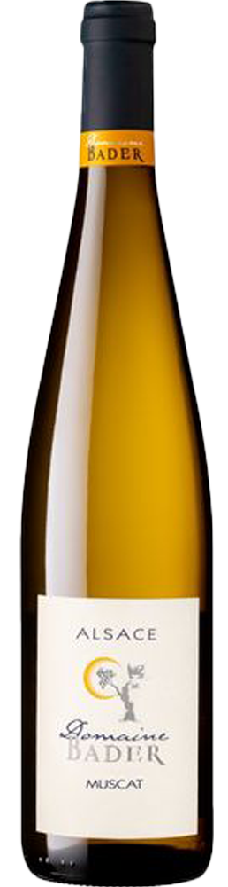 Alsace Muscat