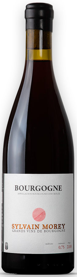 Sylvain Morey – Bourgogne Rouge