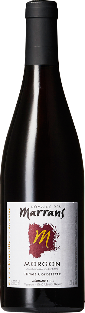 Domaine des Marrans – Morgon Corcelette