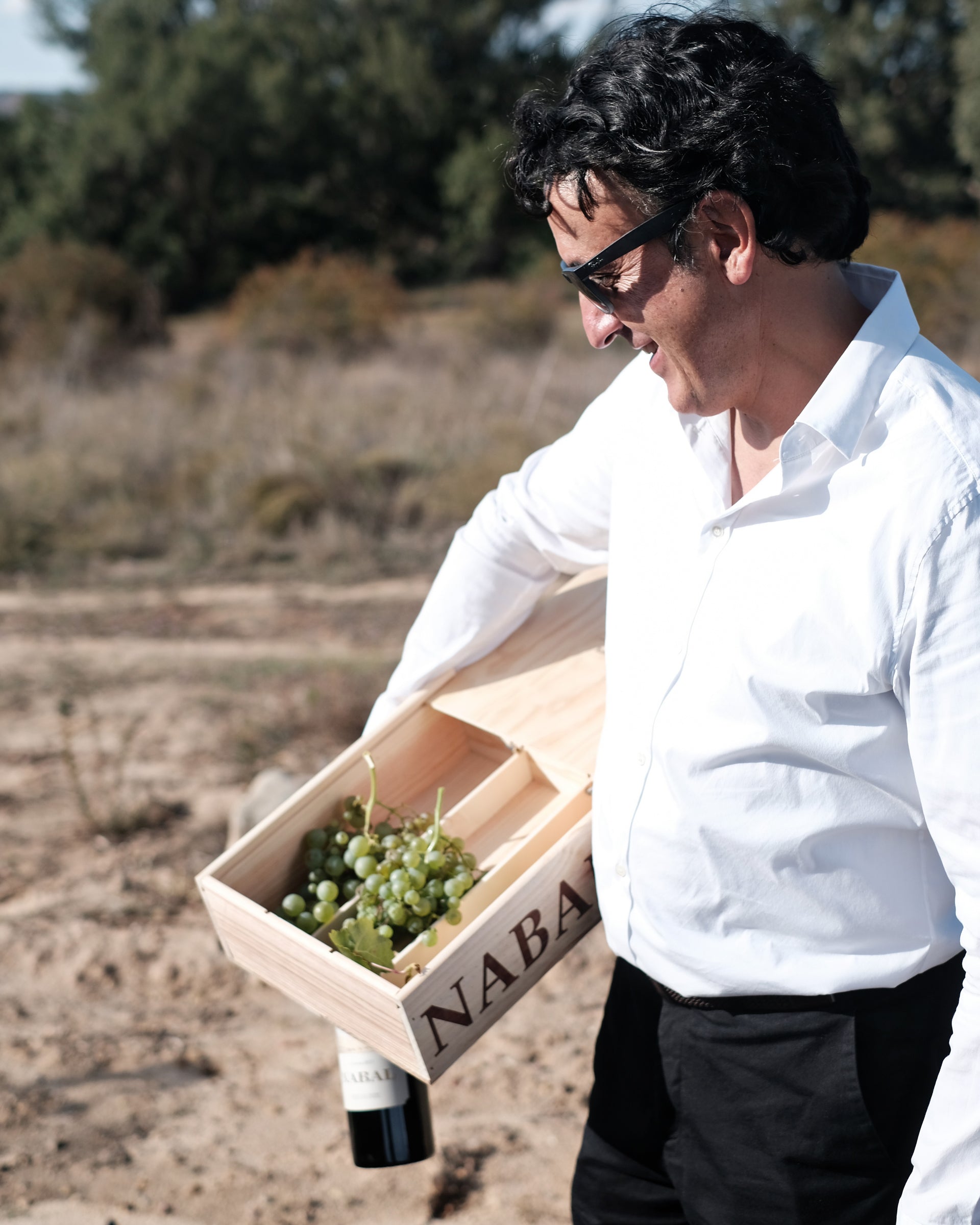 Bodegas Nabal Wine Tasting