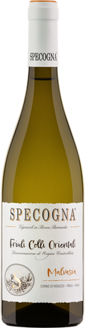 2025 Malvasia DOC