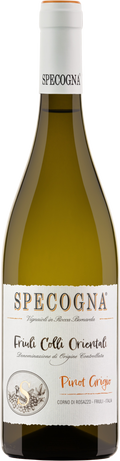 2025 Pinot Grigio DOC