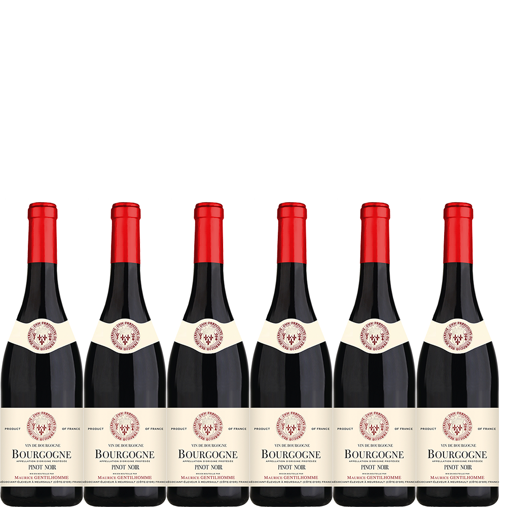 6 flasker 2022 Bourgogne Pinot Noir