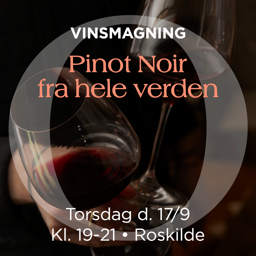 Pinot Noir-Smagning