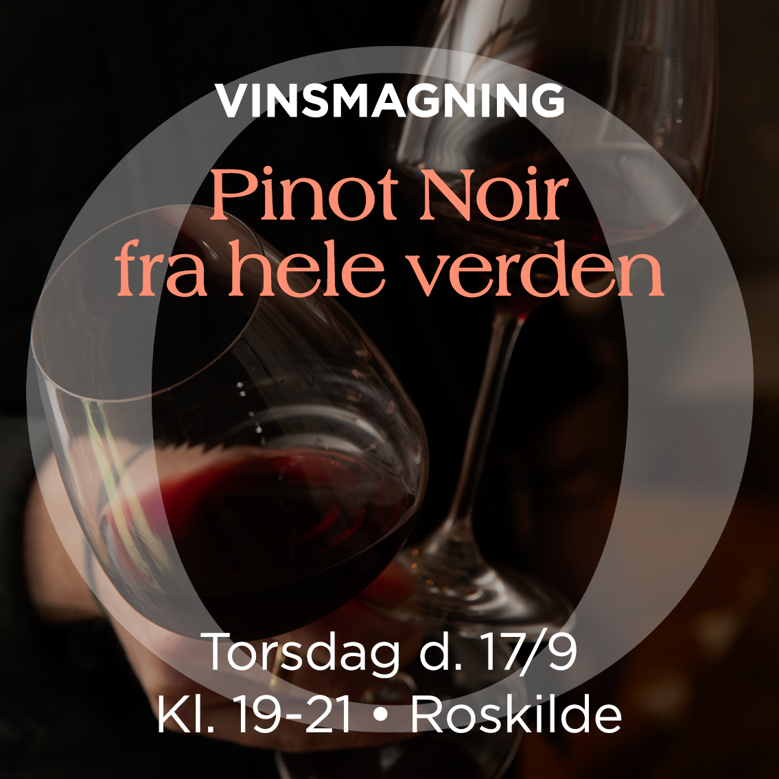 Pinot Noir-Smagning