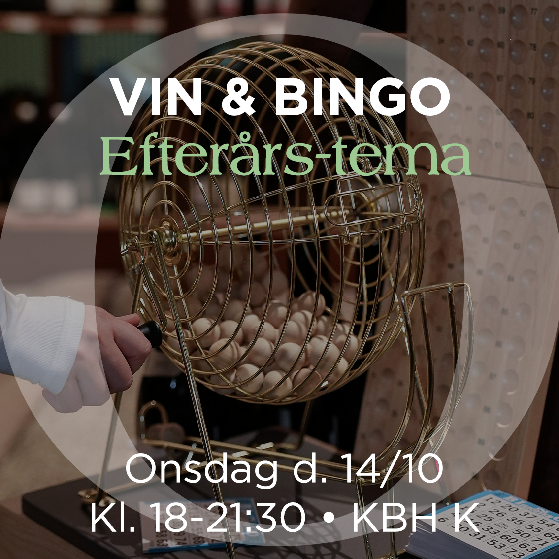 Vin og Bingo: Efterårsvine 14/10-2026
