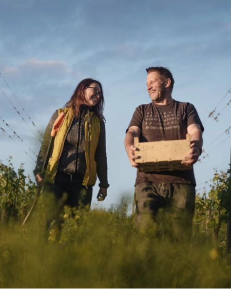 Winemakers Tasting • Krásná Hora Wine Tasting