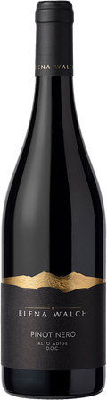 2025 Pinot Nero Blauburgunder