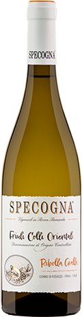 2025 Ribolla Gialla DOC